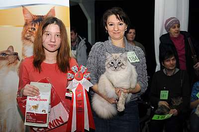 Выставка кошек 'Зимний Кэт-Салон'  22-23 февраля 2014 монопородные шоу DSC_0593r 184.jpg